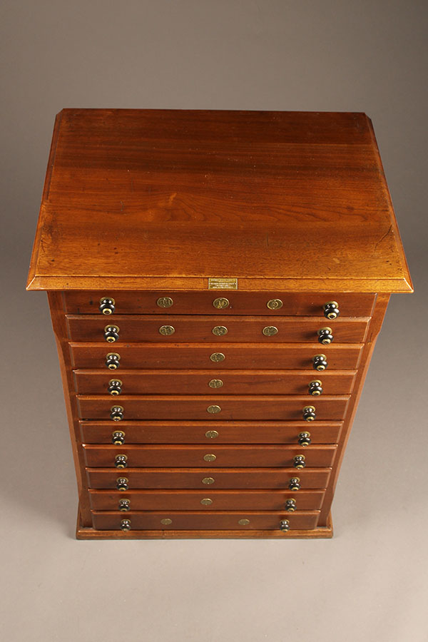 Walnut watch crystal