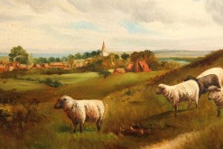 English landscape with sheep A5486C