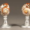 Pair of large nautilus shells A5507A