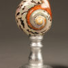 Pair of large nautilus shells A5507B