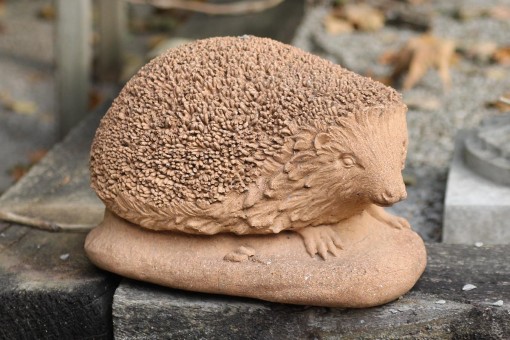 Stone Hedgehog A5552A