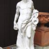 Statue of Baccus A5554A